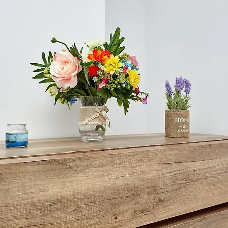 Rabi -sea La Vie 2- * Năvodari